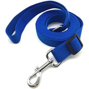 10FT Adjustable Dog Leash, Nylon Dog Leashes for Medium Large Dogs (Blue)