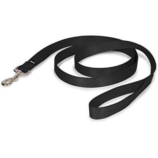 PetSafe Nylon Dog Leash - Strong, Durable, Traditional Style Leash with Easy to Use Bolt Snap - 1 in. x 6 ft., Black