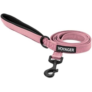 Voyager Reflective Dog Leash with Neoprene Handle, 5ft Long, Supports Small, Medium, and Large Breed Puppies, Cute and Heavy Duty for Walking, Running, and Training - Pink (Leash), S