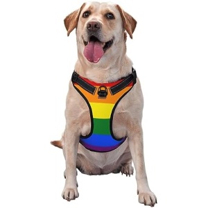 Adjustable Pet Harness Collar and Leash Set for Dogs Puppy and Cats Outdoor Training and Running, Soft Vest Harness (Rainbow LGBT Pride Flag Stripes)