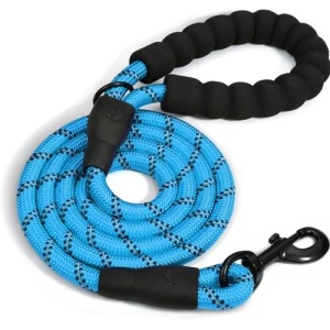 5 FT Dog Leash with Comfortable Padded Handle and Highly Reflective Threads for Small Medium and Large Dogs (5FT-1/2) Multiple Colors (Sky Blue)