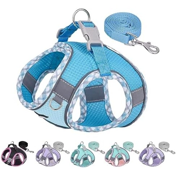 AIITLE Durable Dog Harness and Leash Set for Walking, Step in Vest Harness, Reflective Bands, Soft Breathable Pet Supplies, for Extra Small Dogs and House Cats Blue XXXS