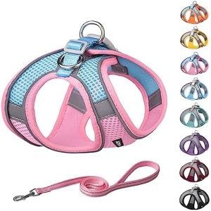 AIITLE Step in Dog Harness and Leash Set - Summer Dog Vest Harness with Super Breathable Mesh, Reflective No-Pull Pet Harness for Outdoor Walking, Training for Small Dogs, Cats Pink XXS
