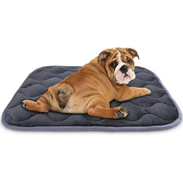 AIPERRO Fluffy Dog Beds for Small Dogs Crate Cushion Mat Machine Washable Anti-Slip Pets Sleeping Pads for Small Medium Large Dogs and Cats (S -29" x 21", Dark Grey)