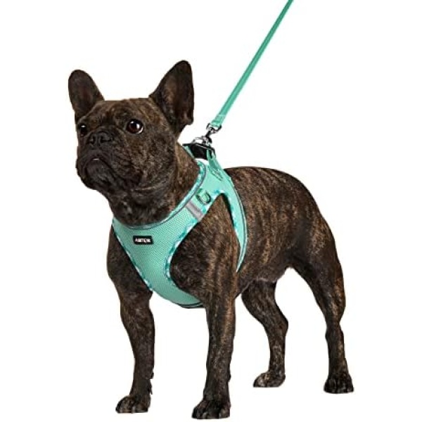 AMTOR Dog Harness with Leash Set,No Pull Adjustable Reflective Step-in Puppy Harness with Padded Vest for Extra-Small/Small Medium Large Dogs and Cats(Green,S)