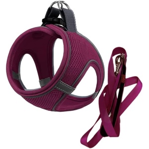 Air Mesh Harness - Comfortable Step-in Air Dog Harness, Breathable Pet Harness for Dogs, All Weather Mesh Step-in Vest Harness, Step in Adjustable Harness for Walking (Small, Purple)