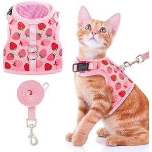 BINGPET Cat Harness with Leash Escape Proof - Fashionable Mesh Cat Dog Walking Harness Leads, Adjustable for Kitties Puppies Small Animals