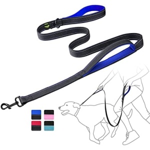 Brilliant Paw Double Handle Dog Leash, 6 Ft Reflective Walking Lead, Comfortable Padded Handles for Safety, Easy Control, 2 Layer Heavy Duty Dog Training Leash for Medium and Large Dog (Black/Blue).
