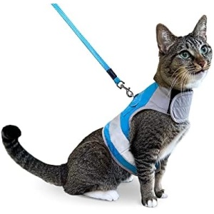 CAT SCHOOL Cat Harness and Leash Set for Outdoor Walks, Training, and Travel - Secure, Soft, Comfortable Cat Vest Harness with 10' Long Cat Leash - Easy to Use with Step-by-Step Instructions M/L