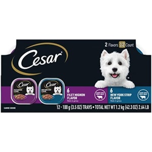 CESAR Adult Soft Wet Dog Food Filets in Gravy Variety Pack, Filet Mignon and New York Strip Flavors, 3.5 oz Trays, 12 Count