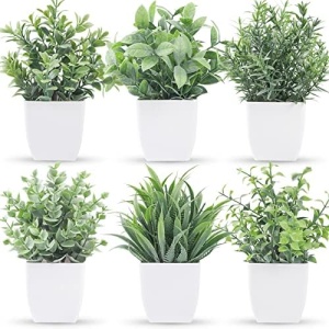 Der Rose 6 Packs Small Fake Plants Artificial Plants in Pots for Home Bathroom Bedroom Living Room Decor Indoor