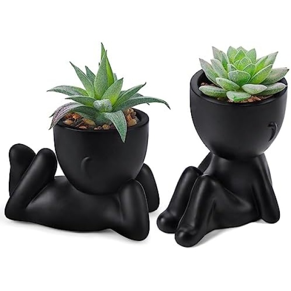 Der Rose Set of 2 Fake Plants Artificial Succulent Plants for Office Desk Accessories Bathroom Home Room Aesthetic Decor Indoor