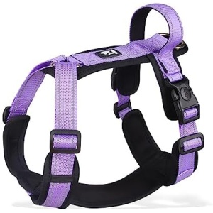 Dog Harness, No Pull Dog Harness Dog Harness for Medium Dogs with Control Handle, Adjustable Dog Vest Harness, Soft Padded Puppy Harness Small Dog Harness for Dog Training Walking Purple M