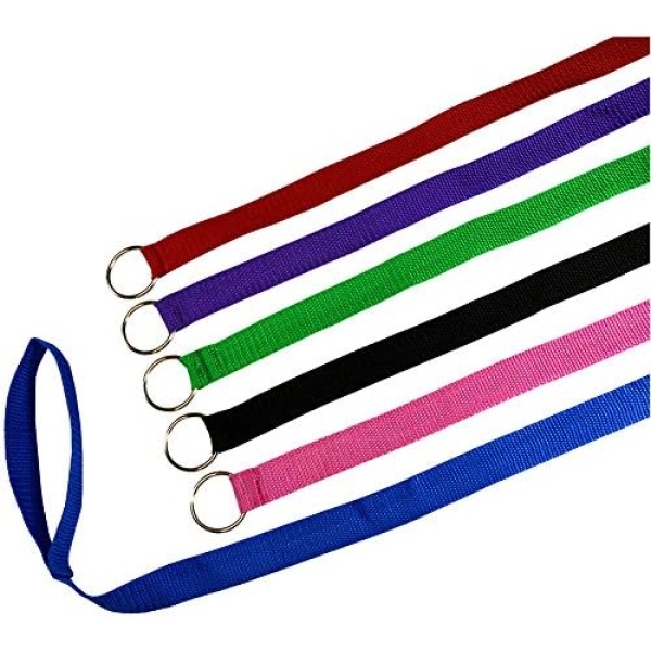 Downtown Pet Supply - 6ft Dog Kennel Slip Lead Dog Leash - Veterinarian, Dog Grooming, Daycare & Animal Rescue Dog Supplies - One Size Leads for Dogs Bulk - 1" Thick 6 Pack