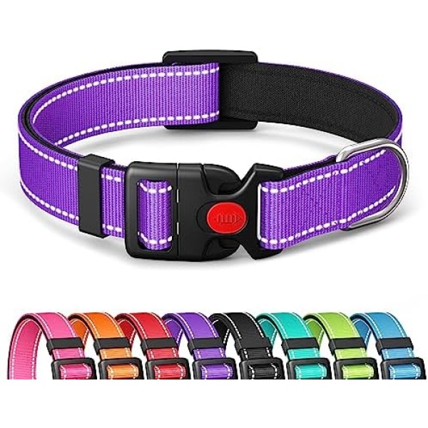 Grepad Polyester Dog Collar for Large Dogs Female Male,Durable Comfortable Padded Basic Dog Collars for Puppy Small Medium Breed with Quick Release Safety Buckle for Dog Boy Girl,Royal Purple,L