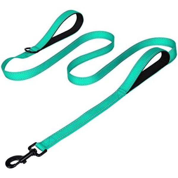 Joytale Double Handle Dog Leash, Double-Sided Reflective Dog Leashes for Night Safety, Heavy Duty Leash for Large and Extra Large and Medium Breed Dogs Outside Walking,6FT,Teal