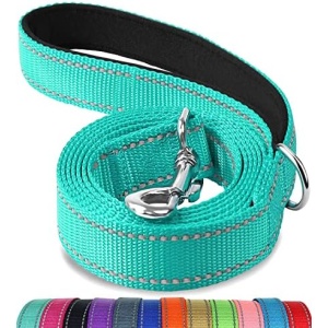 Joytale Double-Sided Reflective Dog Leash, 6 FT/5 FT/4 FT, Padded Handle Nylon Dogs Leashes for Small & Medium Dogs Walking, Teal, 6FT