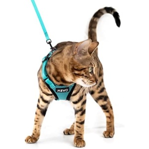 Mewo Cat Harness and Leash - Soft, Comfortable, Reflective, Sleek, & Adjustable, for a Safe & Snug Fit (Aqua Marine, Medium - Adult)