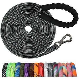 NTR 10FT Training Leash for Dog,Reflective Nylon Rope Leash with Swivel Lockable Hook and Comfortable Handle,Puppy Leash Lead for Small Medium Large Dogs Training,Playing,Camping,or Backyard