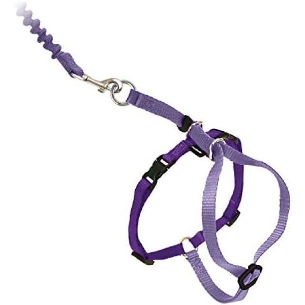 PetSafe Come With Me Kitty Harness and Bungee Cat Leash, Medium, Lilac