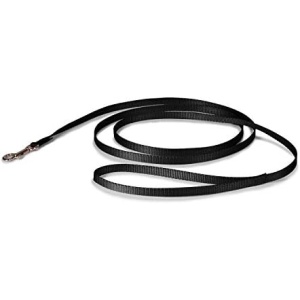 PetSafe Nylon Dog Leash - Strong, Durable, Traditional Style Leash with Easy to Use Bolt Snap - 3/8 in. x 6 ft., Black
