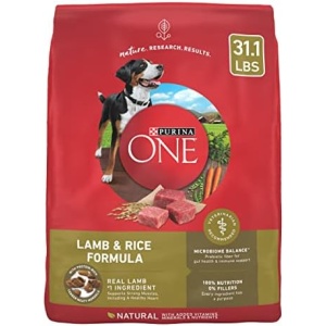 Purina ONE Dry Dog Food Lamb and Rice Formula - 31.1 lb. Bag