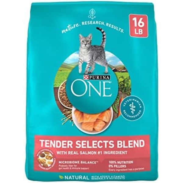 Purina ONE Natural Dry Cat Food, Tender Selects Blend With Real Salmon - 16 lb. Bag