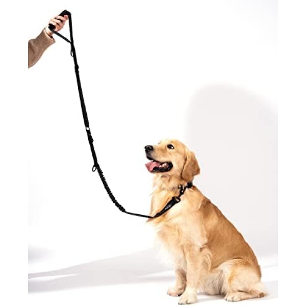 Shock Absorbing Tactical Bungee Dog Leash with Seatbelt Buckle for Golden Retrievers with Highly Reflective Bungee Leash, Stretch Leash Extendable from 4ft to 9 ft.