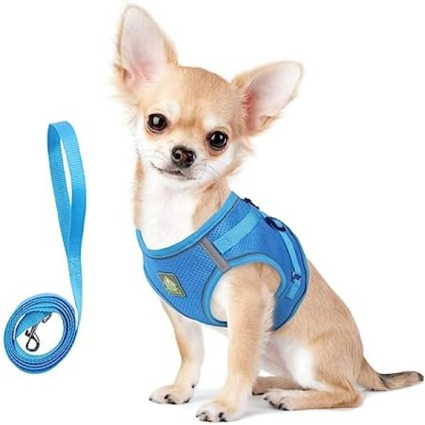 TQFlow Cat Harness and Leash Set for Walking, Kitten Puppy Escape Proof Small Dog Harness Soft Mesh,Adjustable Cat Vest Harness, Reflective Kitten Harness No Pull Step in (Small,Blue)