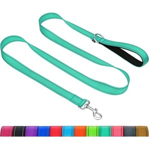 Taglory Nylon Dog Leash 6ft, Soft Padded Handle Pet Reflective Leashes for Medium Large Dogs Walking & Training, Turquoise