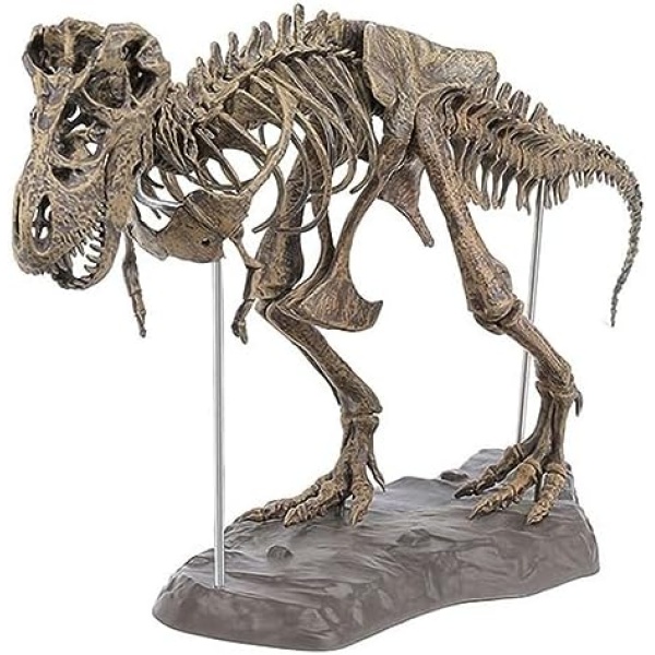 Tyrannosaurus Rexs Skeleton, 3D Dinosaur Model Puzzles Simulation Educational Toy, PVC Animal Collectors Decor Model Toy