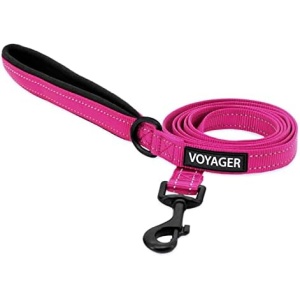 Voyager Reflective Dog Leash with Neoprene Handle, 5ft Long, Supports Small, Medium, and Large Breed Puppies, Cute and Heavy Duty for Walking, Running, and Training - Fuchsia (Leash), S