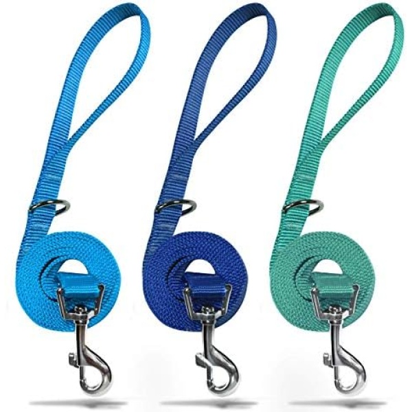 azuza 3 Pack Nylon Dog Leashes,Strong & Durable Basic Style Leash with Easy to Use Collar Hook,Available in Multiple Lengths for Puppy Small Medium and Large Dogs, Royal Blue/Blue/Wathet